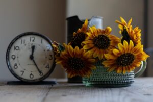 Funkcjonowanie Biblioteki Filologicznej Novum w dniach 7-11 listopada 2025